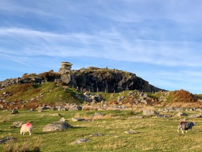 Bodmin Moor