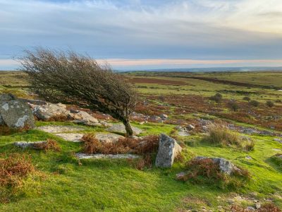 Bodmin Moor