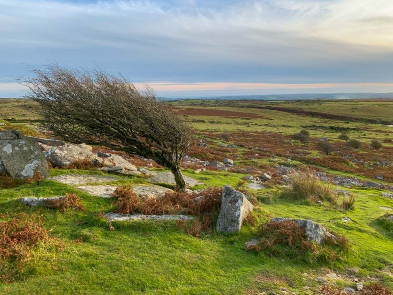 Bodmin Moor