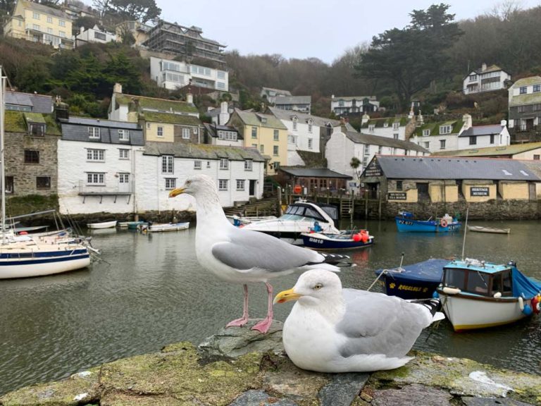 Polperro