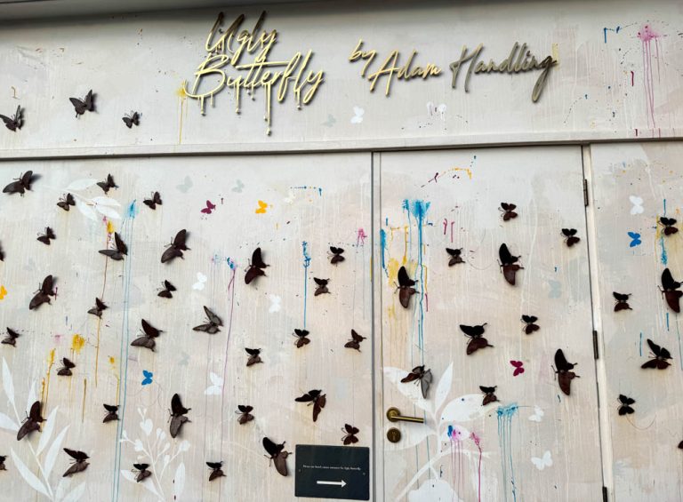 Ugly Butterfly