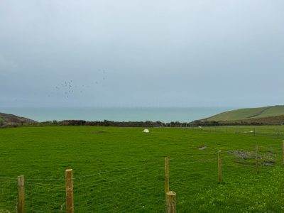 Boscastle Farm Shop & Cafe