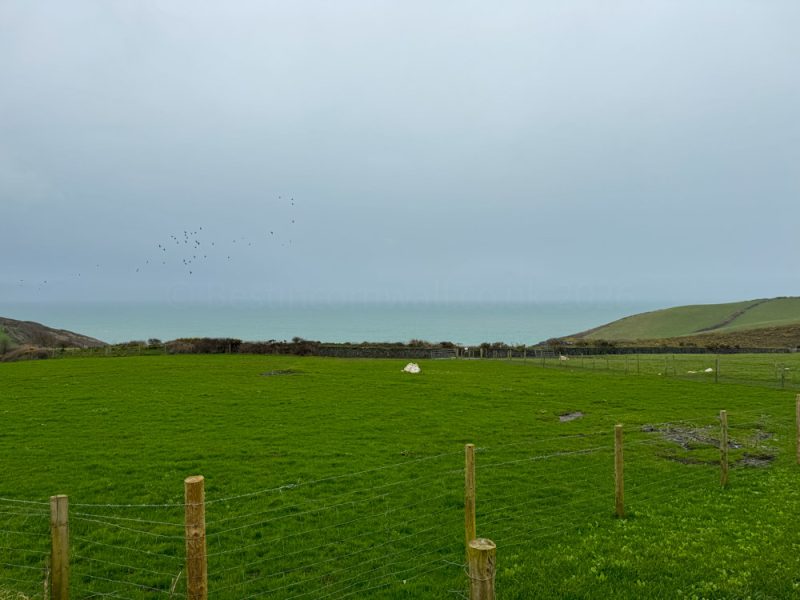 Boscastle Farm Shop & Cafe