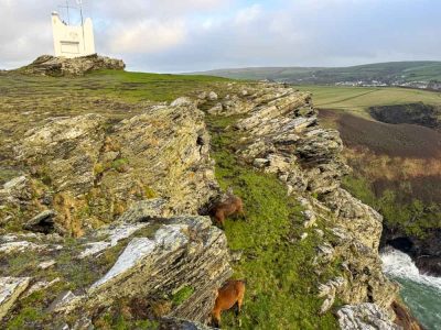 Walk up to Willapark Lookout