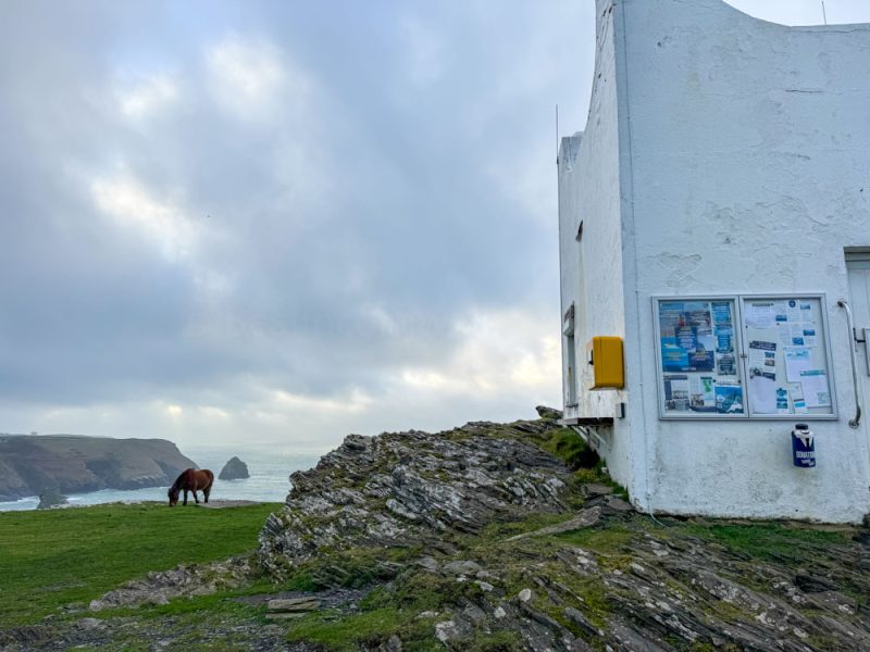 Walk up to Willapark Lookout