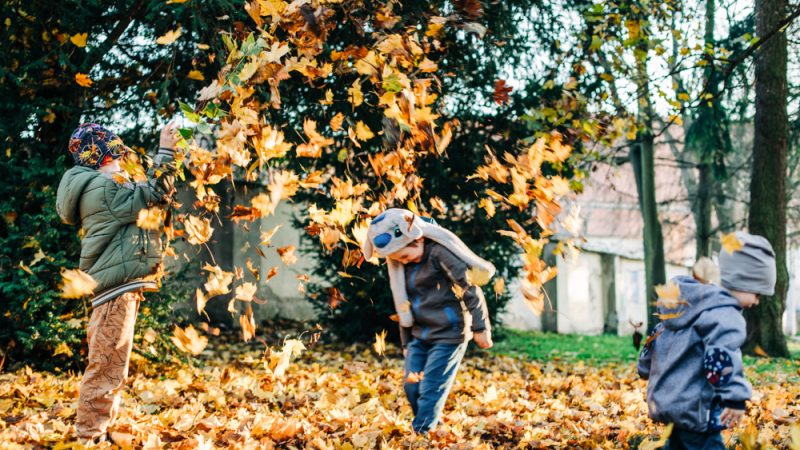 Autumn Kids